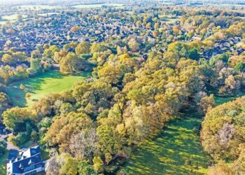 The land that is coming up for auction today.