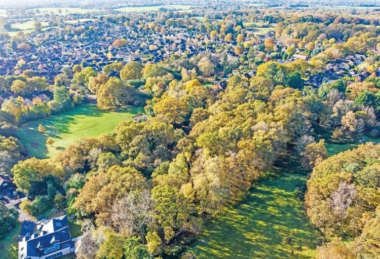 The land that is coming up for auction today.