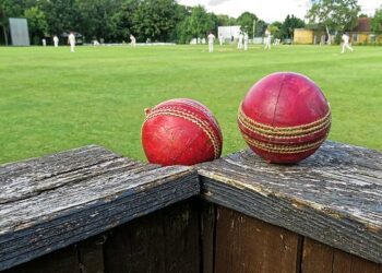 Cricket