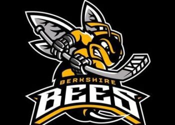 Berkshire Bees