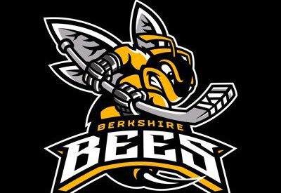 Berkshire Bees