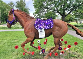 The Barkham Hookers have worked for months to create poppies for the 80th D-Day anniversary. Two of their creations, saddles for Arborfield's life-sized horse sculptures, were stolen within hours of installation. The group hopes they will be returned anonymously. Picture: Gaynor White
