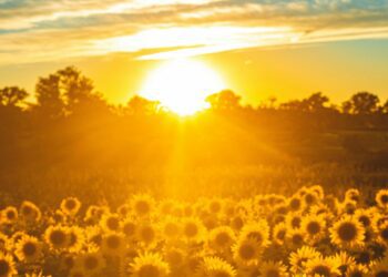 A Wokingham musical theatre group is taking to the stage this week with a show that promises to be a scorcher.East Berkshire Operatic Society?s Sizzling Summer Nights offers an evening of songs to blow away even the coolest of June weather. Picture: Todd Kent via Unsplash