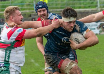 Dan Swain carries for Rams against his former club Plymouth Albion Picture: TIm Pitfield