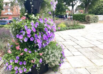 A floral display in Howard Palmer Gardens. Picture: Emma Merchant