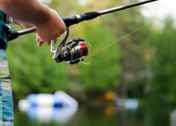 Earley Environmental Group will be speaking about Maiden Erlegh Nature Reserve, how to look after its lake, and which species of fish live in it, on Monday, July 15, at 1pm.