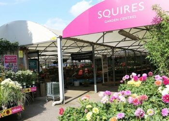 Squire's Garden Centre Wokingham will celebrate five years in the town, with a special afternoon tea party for customers. PIcture: Squire's Garden Centre Wokingham