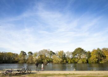 California Country Park in Finchampstead. Pic: WBC.