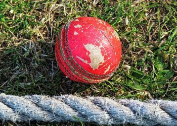 cricket Picture: Wikimedia Commons