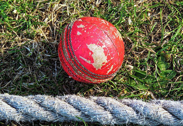 cricket Picture: Wikimedia Commons