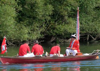 Swan Upping on the River Thames in Wokingham Borough. Pic: Andrew Batt.