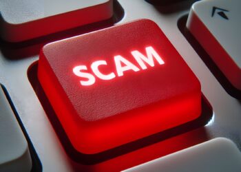 Image by raju shrestha from Pixabay.