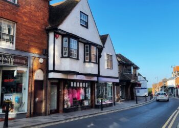 Purple Butterfly in Denmark Street.