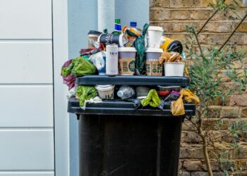 The waste partnership for Reading, Wokingham, and Bracknell Forest, re3, has provided tips to help enjoy the summer without adding to waste problems associated with spending more time outdoors. Picture: The Blowup, via Unsplash