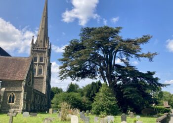 A second tree in St Paul's churchyard has been declared unsafe by arboreal experts and must be felled. The church is determined to replace it. Picture: Emma Merchant