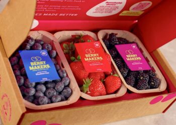Launched in May, Berrymakers offers a direct to consumer online service, delivering fresh punnets of blackberries, blueberries and strawberries to people?s doors. Picture: Berrymakers