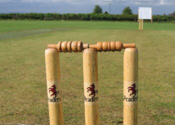 Cricket