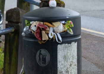 People are beginning to pile rubbish around full bins. Picture: Andrew Batts