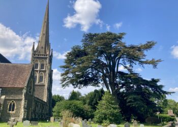 A second tree in St Paul's churchyard has been declared unsafe by arboreal experts and must be felled. The church is determined to replace it. Picture: Emma Merchant