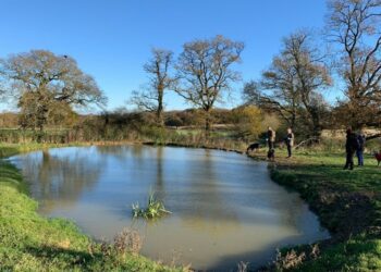 Keephatch Meadows.
