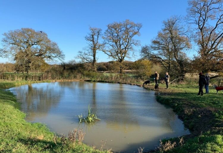 Keephatch Meadows.