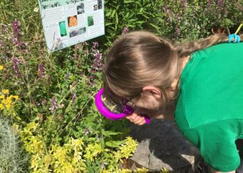Wave Rangers will help young people to connect with the natural environment and to see how they can make a difference to their future. Picture: The Wave Project