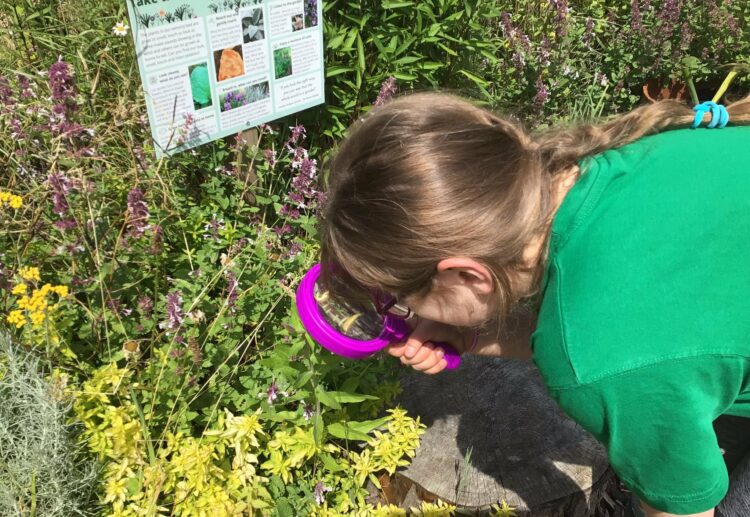 Wave Rangers will help young people to connect with the natural environment and to see how they can make a difference to their future. Picture: The Wave Project