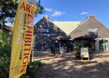 The Woodley and Earley Arts Group filled a gallery at the Oakwood Centre with paintings at their Autumn Art Exhibition. Picture: Emma Merchant