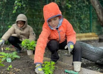 Schools with ideas for fun biodiversity projects can win a prize by entering a Let's Go Zero competition. Picture: Let's Go Zero