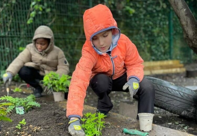 Schools with ideas for fun biodiversity projects can win a prize by entering a Let's Go Zero competition. Picture: Let's Go Zero