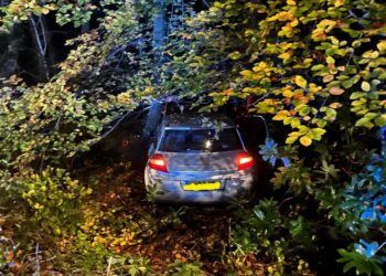 Car Picture: Thames Valley Police Rural Crime Taskforce