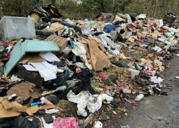 Contents of the stolen van fly-tipped on Sheerlands Road in Arborfield Picture: Wokingham Borough Council