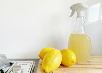 Learn how to green clean at a pop-up workshop. Picture: Precious Plastic Melbourne via Unsplash