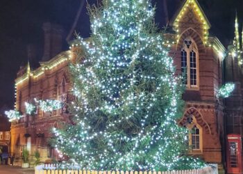 Wokingham's Christmas tree. Pic: Andrew Batt.