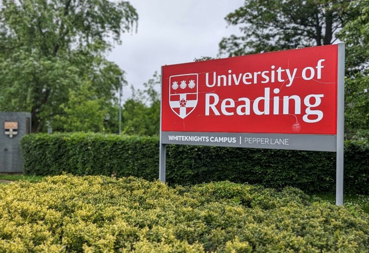 A cold snap in the UK could mean a warmer winter according an expert from the University of Reading.