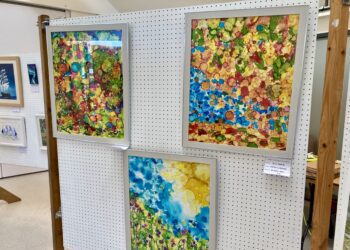 The Woodley and Earley Arts Group filled a gallery at the Oakwood Centre with paintings at their Autumn Art Exhibition. Picture: Emma Merchant