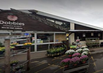Dobbies in Shinfield. Pic: Google.