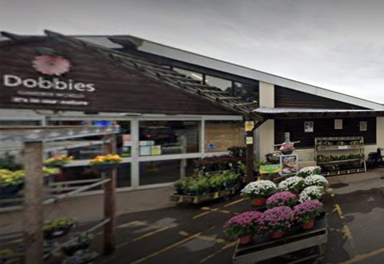 Dobbies in Shinfield. Pic: Google.