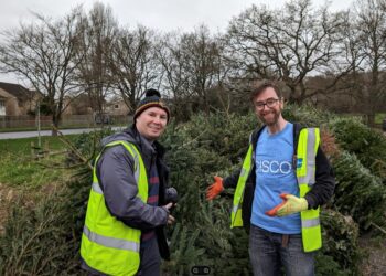 Volunteers from Sue Ryder will collect Berkshire residents' Christmas trees in January if they sign up soon. Picture: Sue Ryder