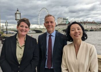 Labour Mps
