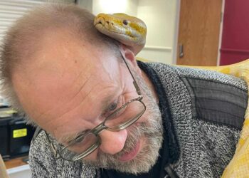 Members of CLASP Wokingham had a great time getting up close to reptiles when Berkshire Reptile Encounters visited the group. Picture: CLASP Wokingham