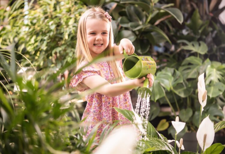 Little Seedlings ambassador Ella, 5, waters houseplants at Dobbies. Picture: Brian Morrison, Dobbies