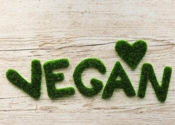Sparkle Vegan market takes place in Wokingham on the second Sunday of each month. Picture: Kranich17 via Pixabay