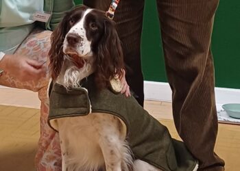 Therapy dog Fraser and Liz Kerry were both recognised for their contributions to Earley. Picture: Earley Town Council