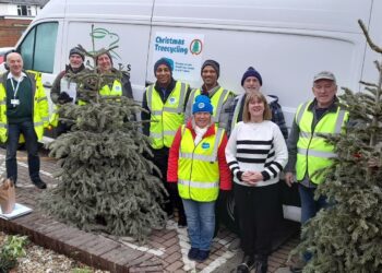 Thames Valley volunteers helped to raise thousands of pounds for Sue Ryder, collecting unwanted Christmas trees for recycling. Picture: courtesy of Sue Ryder