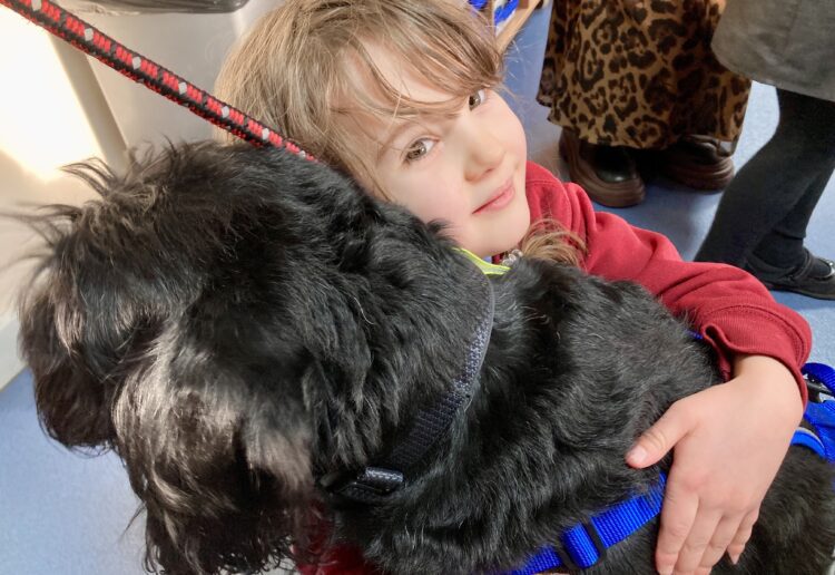 Walter the canine learning assistance dog took Wokingham.Today on a tour of Walter Infant and Nursery School in Wokingham. Picture: Emma Merchant