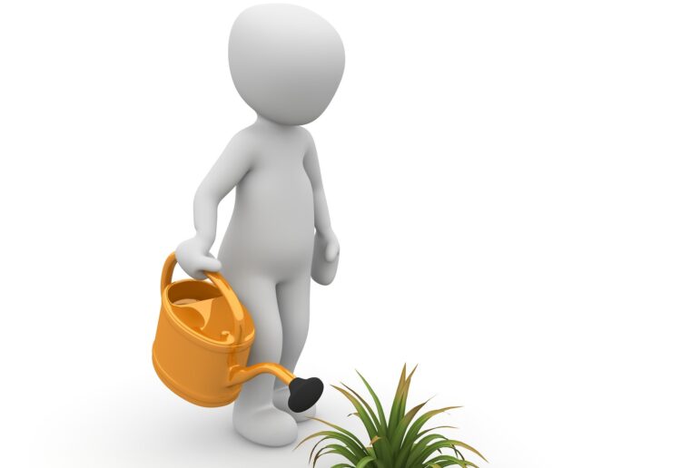 Image by Peggy und Marco Lachmann-Anke from Pixabay.