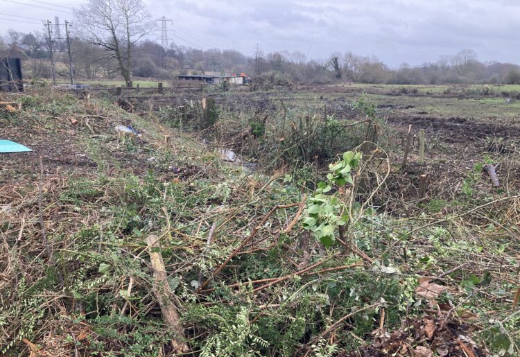 Wokingham residents have expressed sorrow and dismay at the clearing of trees beside Tesco Wokingham, in preparation for the new distributor road. PIcture: Emma Merchant