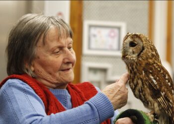 Parsons Grange residents Dorothy and Christine with owls brought to the home by Berkshire Birds of Prey. Picture: Parsons Grange Care Home