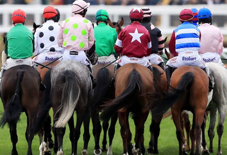 The Cheltenham Festival takes place this week.